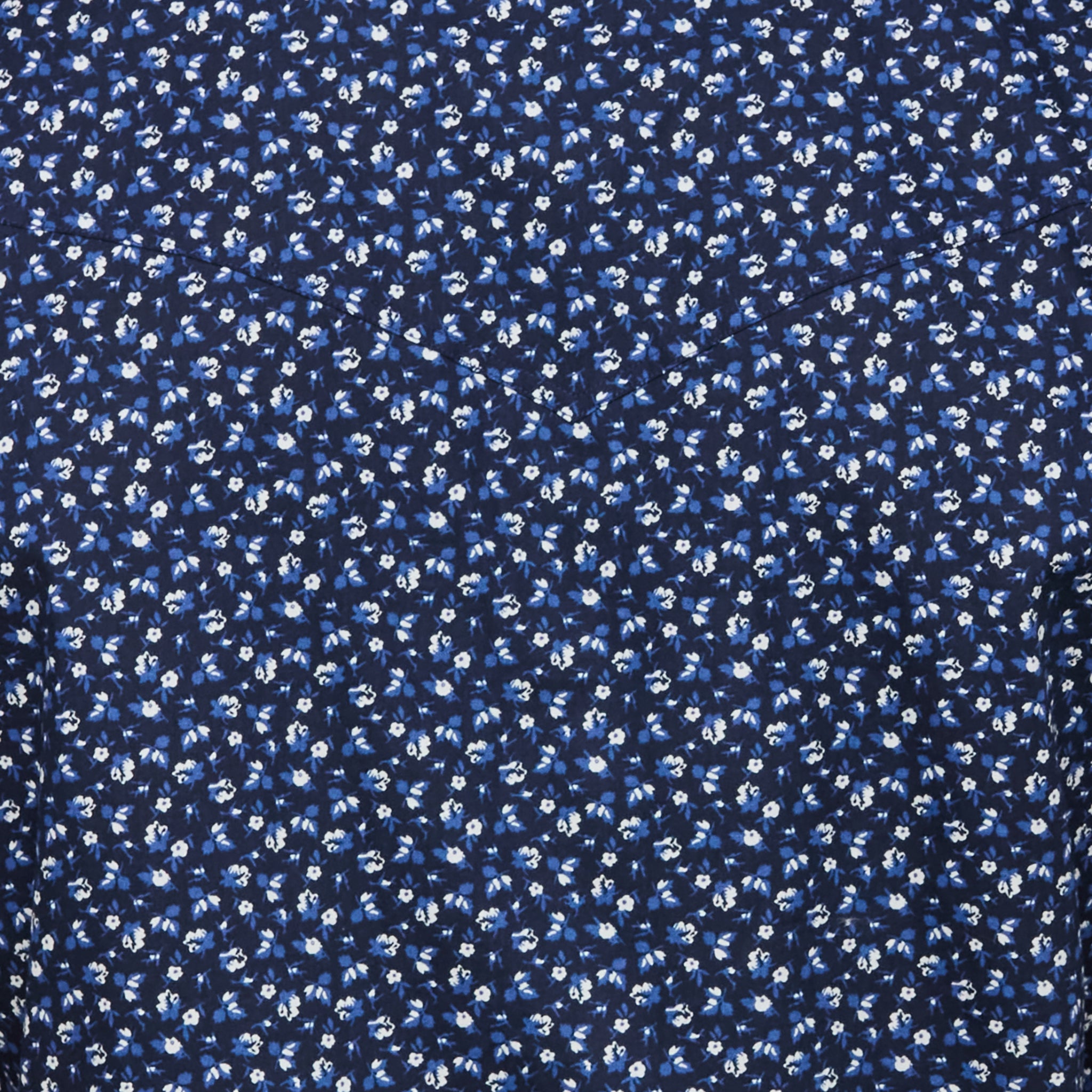 Austin :: Blue/White Floral Print