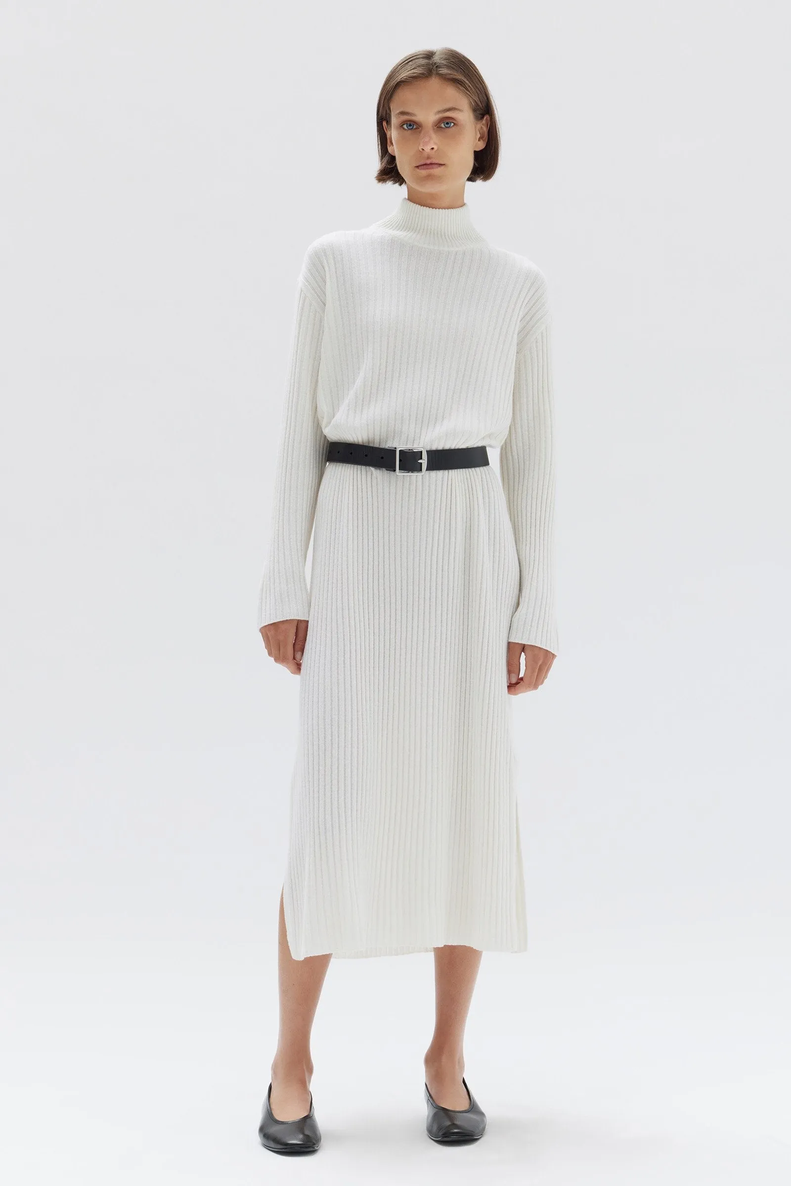 Pearl Roll Neck Knit Dress