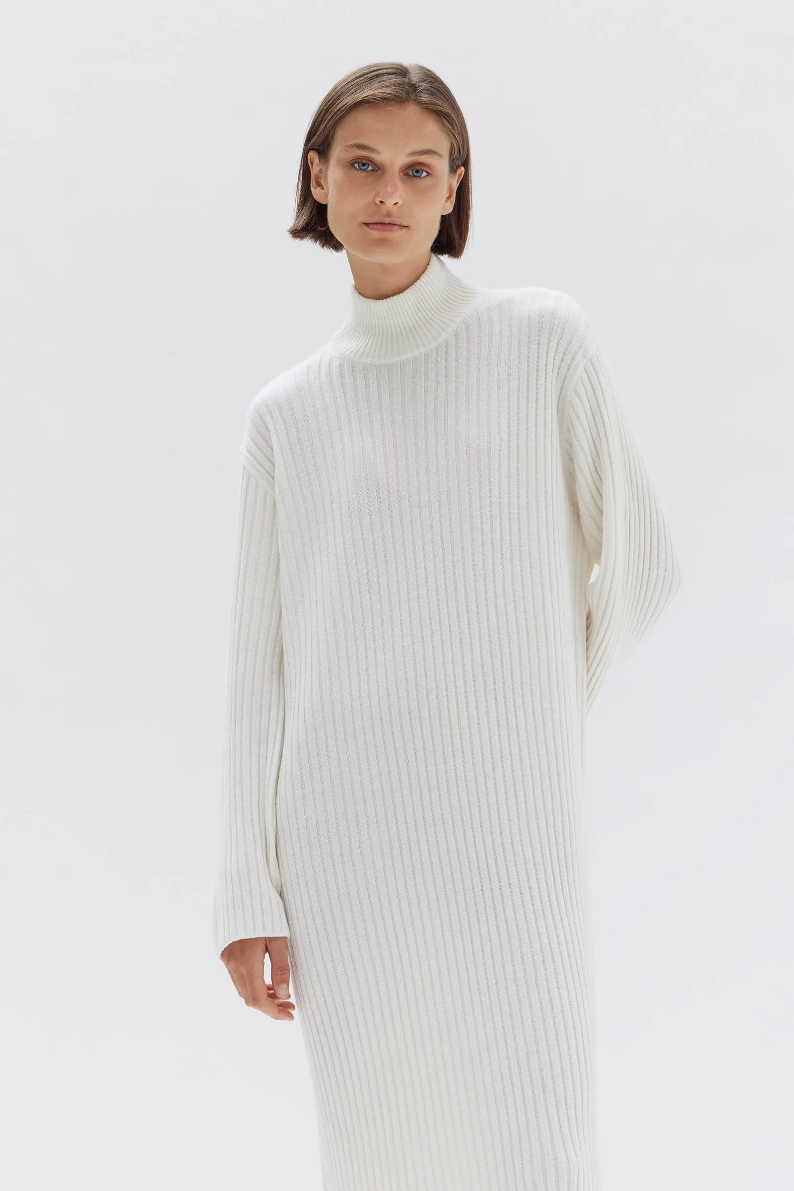 Pearl Roll Neck Knit Dress